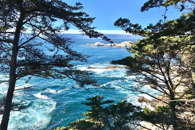 17-Mile Drive, Monterey Peninsula &Carmel Max 12 Small Group Tour - Cannery Row: 90 Minutes of Boardwalk Energy and Seafood Options
