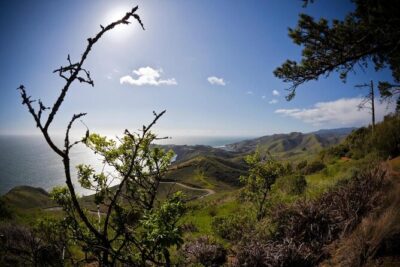 4 Hours Tour Beyond the Golden Gate Bridge Marin Headlands and Sausalito - Route Feel: From 431 Beach St to Bridge Views Without the Stress