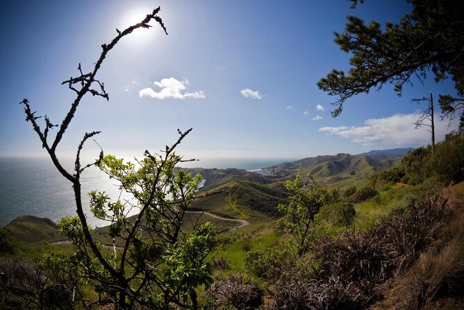 4 Hours Tour Beyond the Golden Gate Bridge Marin Headlands and Sausalito - Route Feel: From 431 Beach St to Bridge Views Without the Stress