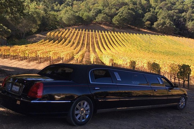 6-Hour Luxury Napa Wine Tasting Tour with Route Planning - Key things that make this Napa day work