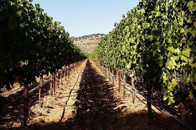 6-Hour Luxury Napa Wine Tasting Tour with Route Planning - The concierge advantage: how winery choices get matched to your day