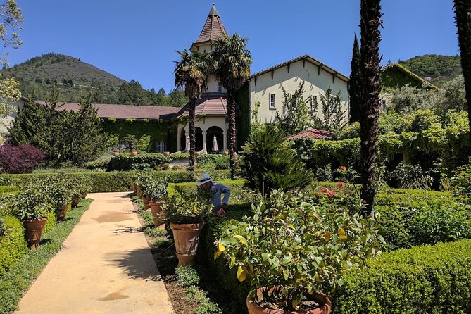 6 Hour Private Wine Country Tour (Sedan, SUV or Limo) - What you’ll pay for separately: tastings and food