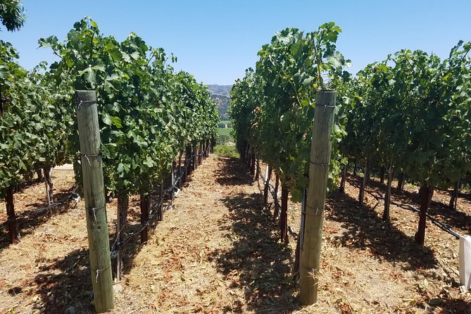 6 Hour Private Wine Country Tour (Sedan, SUV or Limo) - Wine country planning: preferences first, appointments second