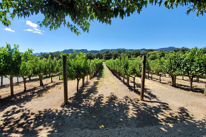 6-Hour Sparkling Wine Tour of Napa Valley - A 6-hour sparkling-focused Napa Valley day (with less stress)