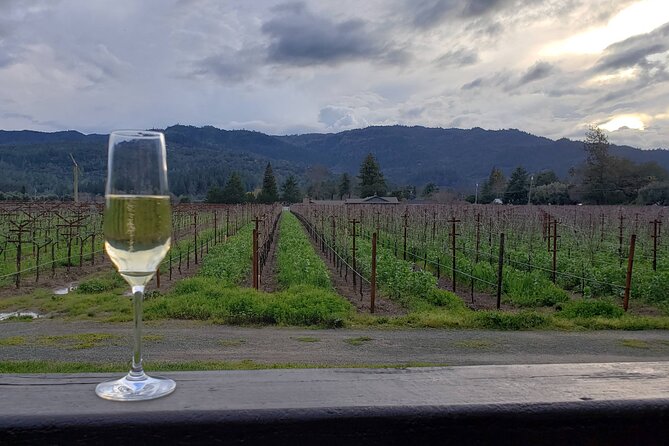 6-Hour Sparkling Wine Tour of Napa Valley - Pickup in Sonoma or Napa: how to keep the start easy