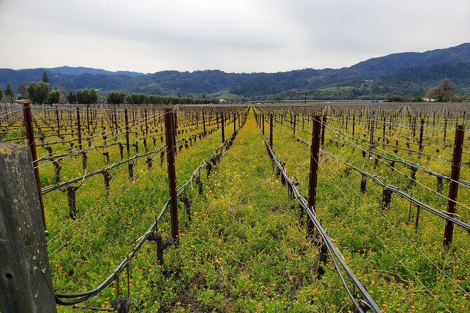 6-Hour Sparkling Wine Tour of Napa Valley - COVID-era winery reality: reservations are required
