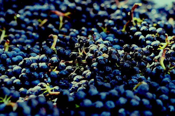8 Hour Private Tour in Wine Country from San Francisco - Your San Francisco Wine Day, Without the Stress of Planning