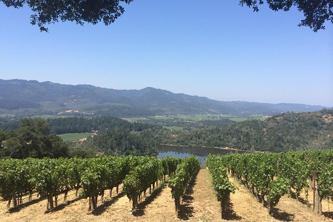 8-Hours Private Limo(up to 8 pass.) Wine Tour of Napa Valley from San Francisco - Private limo for up to 8: a San Francisco-to-Napa win