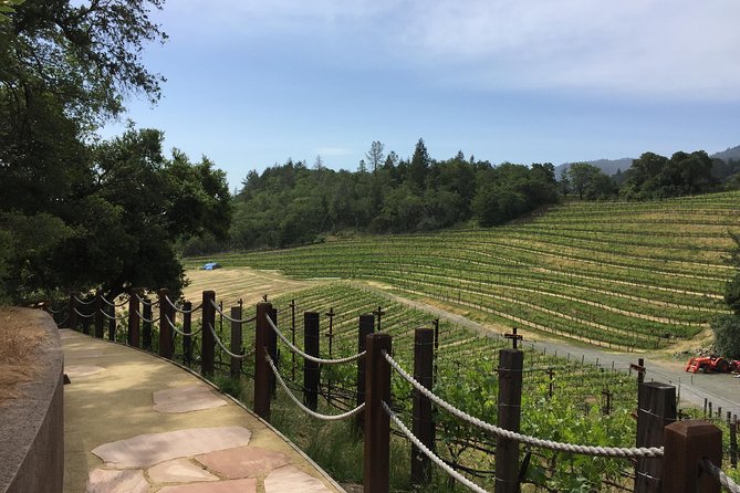 8-Hours Private Limo(up to 8 pass.) Wine Tour of Napa Valley from San Francisco - Hotel pickup around the Bay: less hassle, more day