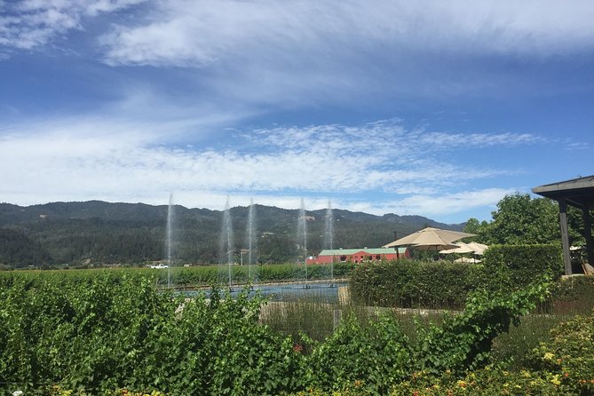 8-Hours Private Limo(up to 8 pass.) Wine Tour of Napa Valley from San Francisco - Price and value: what $1,499 per group really means