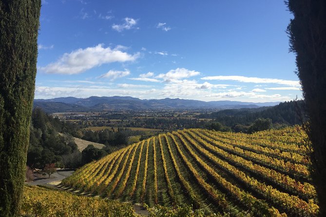 8-Hours Private Limo(up to 8 pass.) Wine Tour of Napa Valley from San Francisco - Wine tasting fees, 21+ rules, and what to plan for