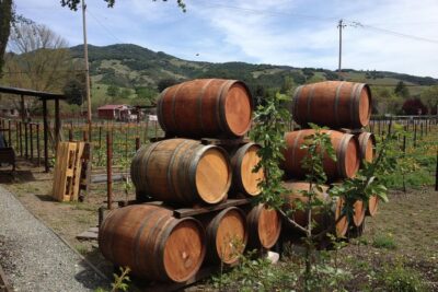 8-Hours Private SUV (up to 6 Passengers) San Francisco to Napa Valley Wine Tour - Your driver as the on-the-ground planner in Napa Valley