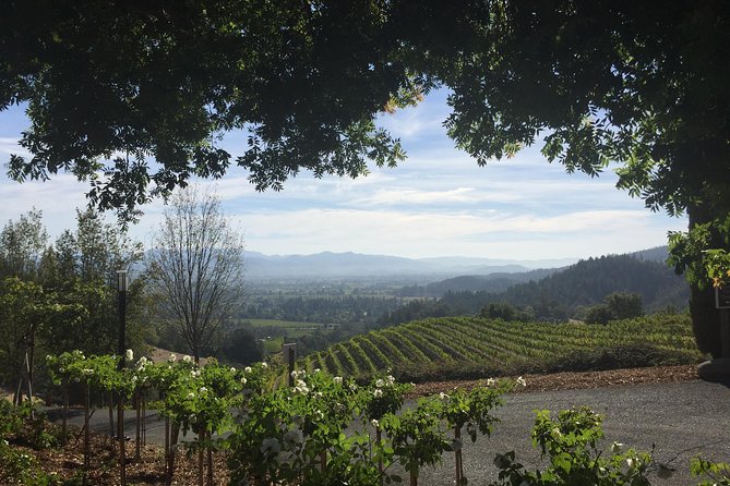 8-Hours Private SUV (up to 6 Passengers) San Francisco to Napa Valley Wine Tour - Price and value: when $1,199 is a smart deal