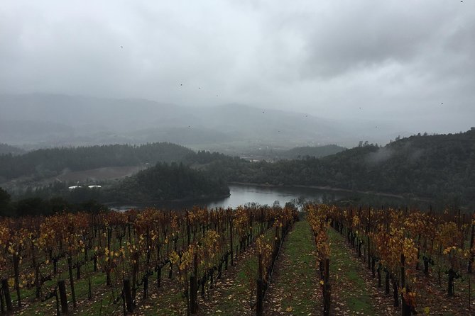 8-Hours Private SUV (up to 6 Passengers) San Francisco to Napa Valley Wine Tour - Who this Napa Valley SUV tour is best for