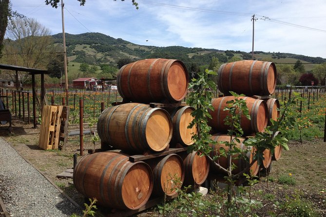 8-Hours Private SUV (up to 6 Passengers) San Francisco to Napa Valley Wine Tour - Your driver as the on-the-ground planner in Napa Valley
