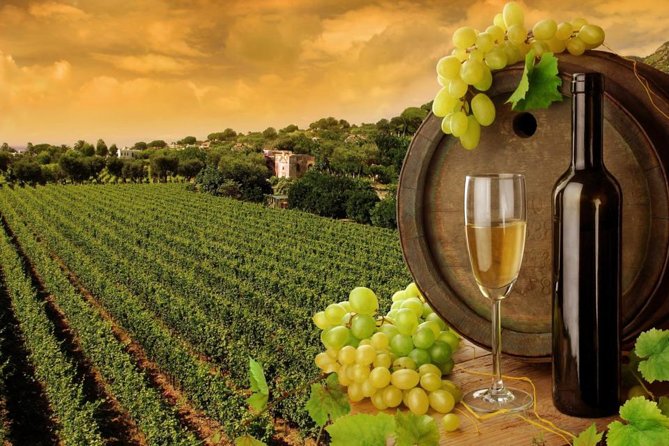 8hr-Private Wine Tour from SF & 1/2 Case of Californian wine. - Key highlights you’ll actually feel during the day