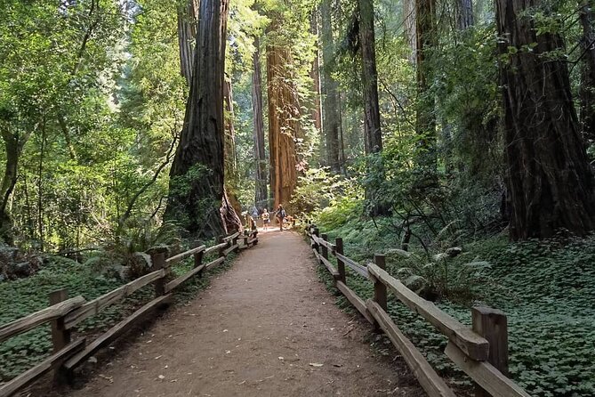 Alcatraz Plus Muir Woods and Sausalito Combo Tour - Alcatraz Island with headset audio: plan your 3 hours around the last boat