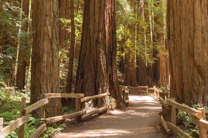 Alcatraz with Muir Woods and Sausalito Tour - Key highlights at a glance