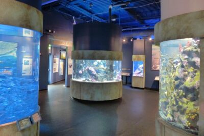 Aquarium of the Bay General Admission Ticket - Your general admission set-up: timed entry that still feels free