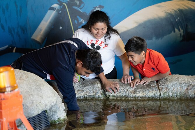 Aquarium of the Bay VIP Experience - Asking questions and getting behind the scenes: what to expect