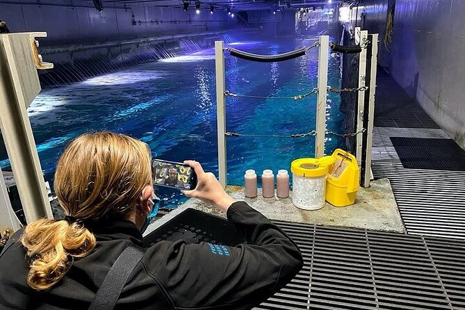 Aquarium of the Bay VIP Experience - Price and value: is $61.50 worth it for an SF aquarium?
