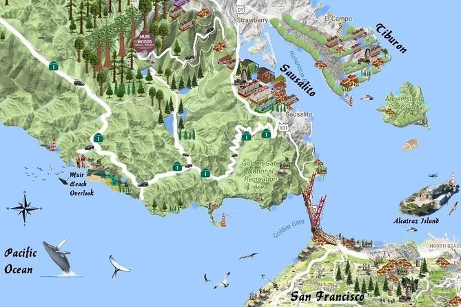 Best San Francisco, Muir Woods & Sausalito Private Combo Tour - Price and Logistics: What You’re Really Paying For at $594