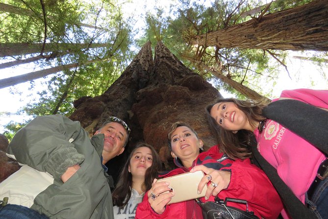 Best San Francisco, Muir Woods & Sausalito Private Combo Tour - Sausalito: Houseboats, Coastal Charm, and Lunch That Fits Your Mood