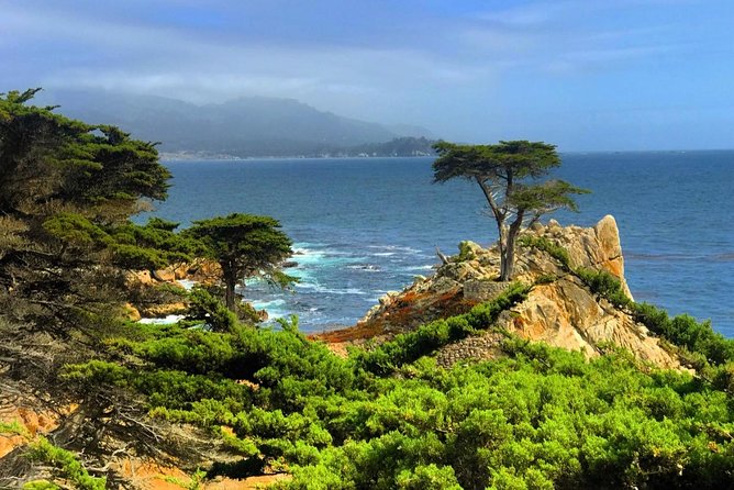 Carmel / Monterey Hwy 1 tour - Your Day Trip Timeline Starts at 8:30 a.m. from San Francisco