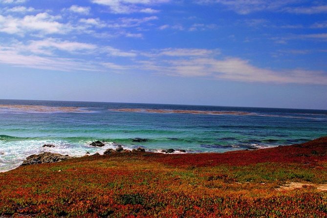 Carmel / Monterey Hwy 1 tour - Carmel Downtown: Charming Stroll Time Without the Planning Headache