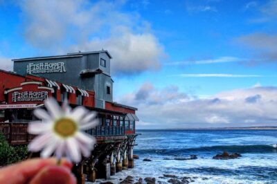 Carmel / Monterey Hwy 1 tour - Highway 1 Isn’t Just a Route, It’s the Whole Point