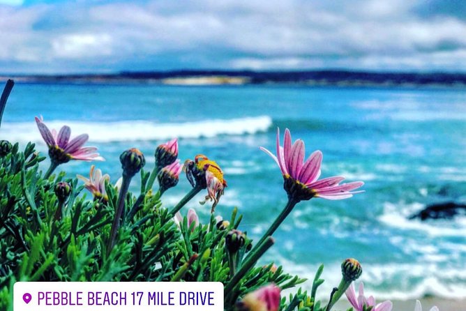 Carmel / Monterey Hwy 1 tour - Private-Group Comfort and Real Value at $950 per Group