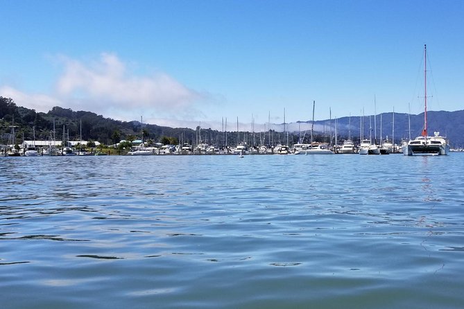 Combo Small-Group Tour: SF City plus Muir Woods & Sausalito - Guides, Pace, and What “Small Group” Feels Like
