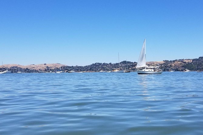 Combo Small-Group Tour: SF City plus Muir Woods & Sausalito - Who This Tour Fits Best (And Who Might Want a Different Plan)