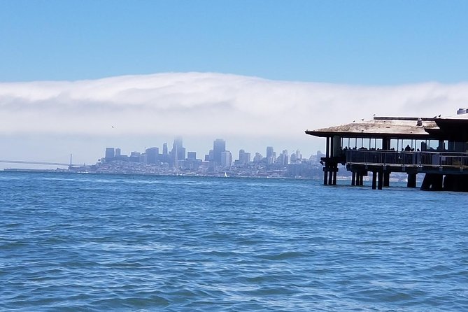 Combo Tour: Muir Woods, Sausalito and Sonoma Wine Country Tour - Marin-to-Muir Woods drive: bay views and the geography lesson you actually remember