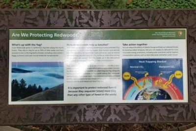 Combo Tour: Muir Woods, Sausalito and Sonoma Wine Country Tour - San Francisco morning: Union Square to the bridge, with quick stops that explain the city