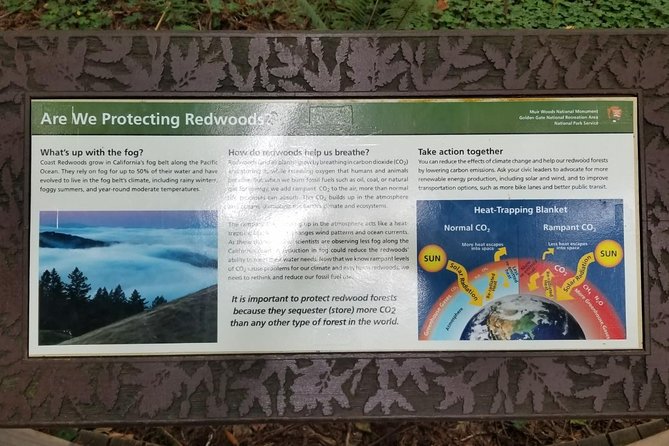Combo Tour: Muir Woods, Sausalito and Sonoma Wine Country Tour - San Francisco morning: Union Square to the bridge, with quick stops that explain the city