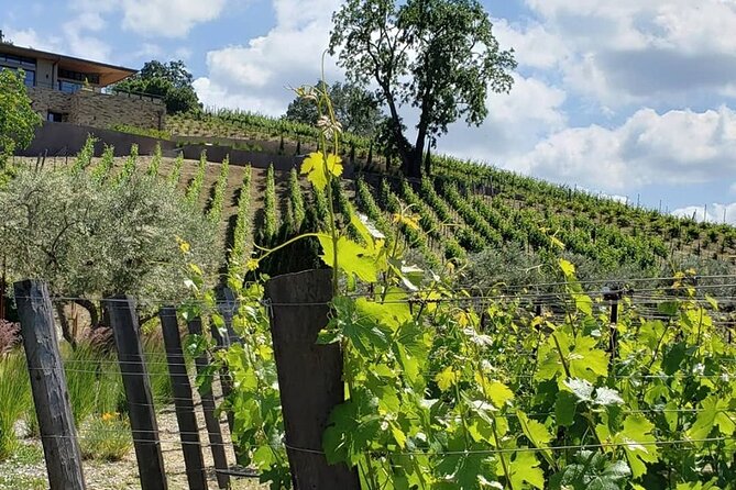 Custom 8-Hour Napa Valley Wine Tour in a Luxury Vehicle - Booking Smarts: Small Things to Confirm First