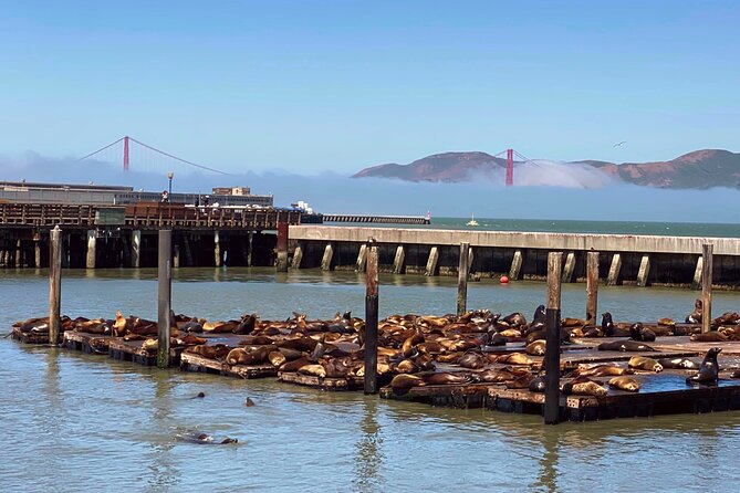 Fisherman’s Wharf Highlights Tour + Golden Gate Bay Voyage - Key highlights worth planning around
