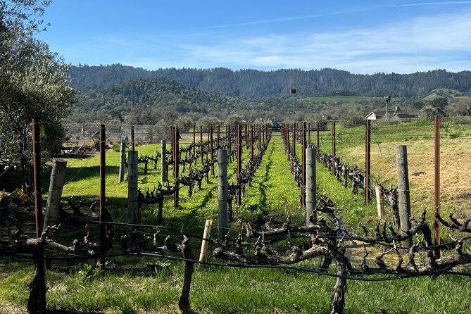 From San Francisco: Half-Day Wine Aficionado Tour with Tastings - Golden Gate Bridge and Sausalito Stops: The Ride Becomes Part of the Tour