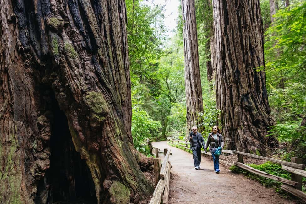 From San Francisco: Muir Woods, Sausalito and Alcatraz Tour - Key Points Before You Go