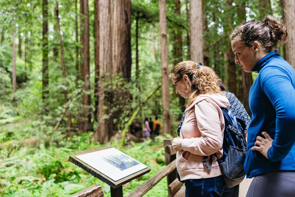 From San Francisco: Muir Woods, Sausalito and Alcatraz Tour - Sausalito in 60 Minutes: Worth It if You Walk the Waterfront