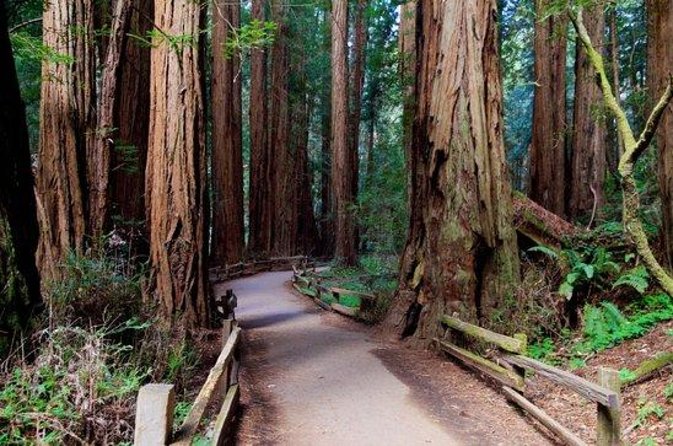 From San Francisco: Muir Woods Tour and Hop-on Hop-off City Tour - From Fisherman’s Wharf to Muir Woods: A Day With Built-In Timing