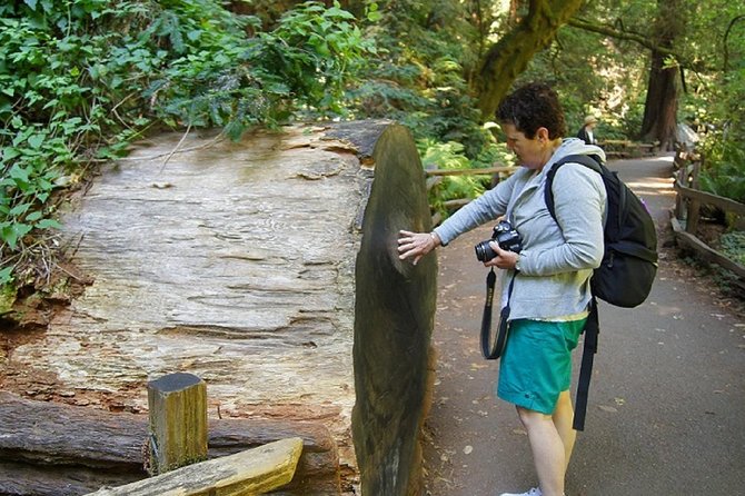 From San Francisco: Muir Woods Tour and Hop-on Hop-off City Tour - Sunset Panoramic Tour and Digital Chinatown: Two Ways to See San Francisco