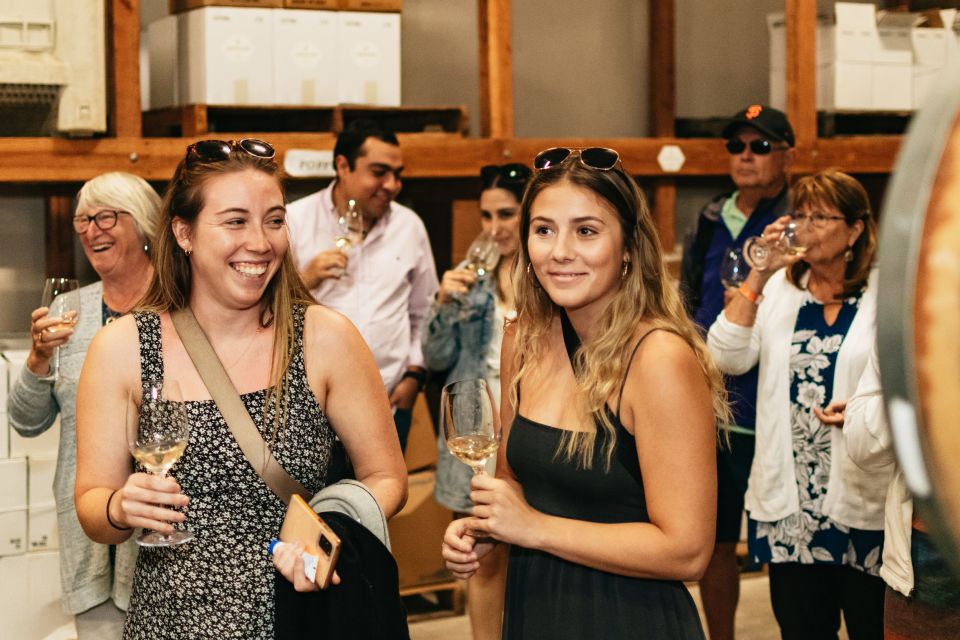 From San Francisco: Napa & Sonoma Valley Full-Day Wine Tour - Who This Wine Tour Suits Best (and Who Might Want Something Else)