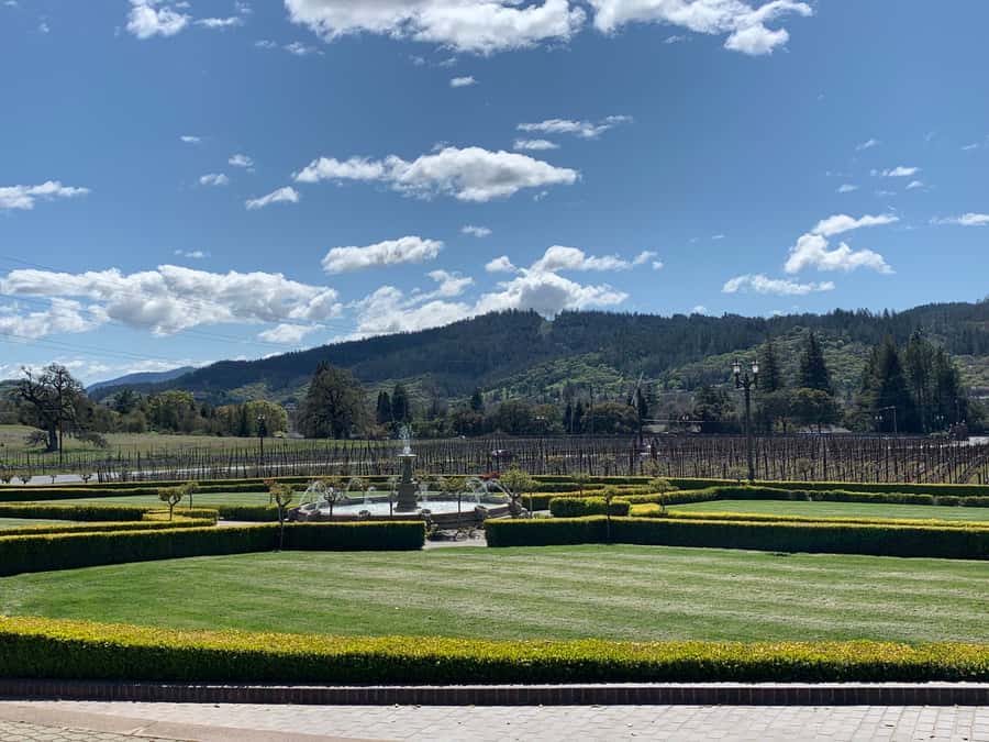 From San Francisco: Napa Valley & Sonoma Private Wine Tour - The 8-Hour Plan: How 3–4 Wineries Fit Without Rushing You