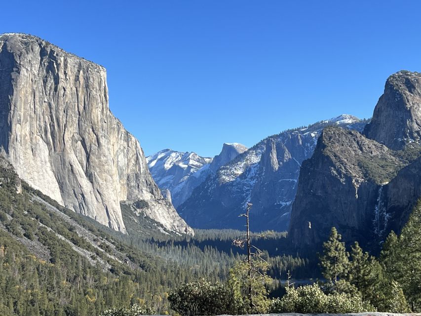 From San Francisco: Yosemite Private Full-Day Trip - Your guide experience: friendly, flexible, and practical