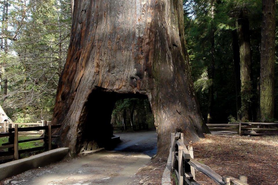 From San Francisco: Yosemite Private Full-Day Trip - The drive to Yosemite Valley: flexible stops without the bus hassle