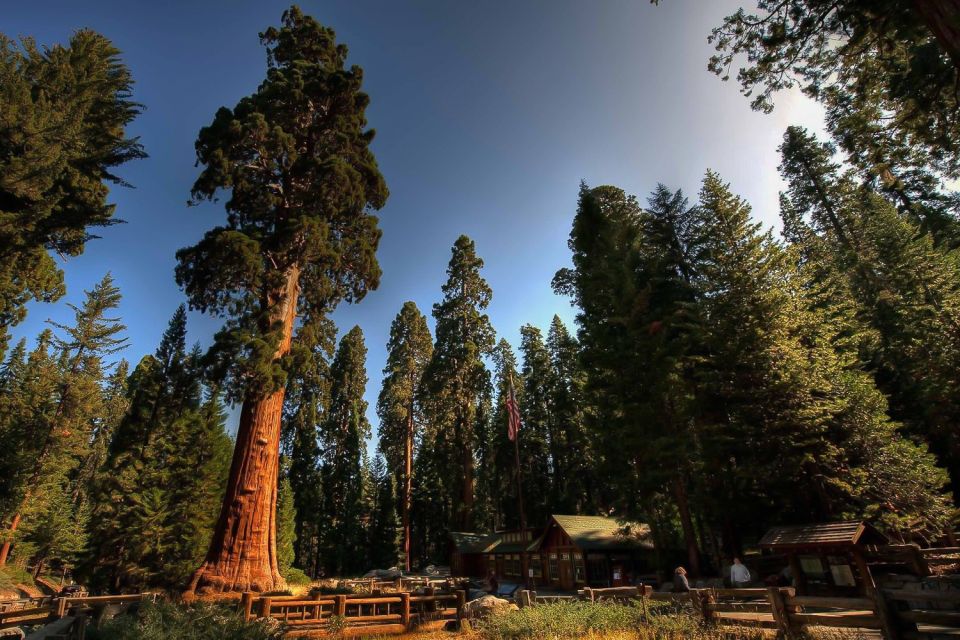 From San Francisco: Yosemite Private Full-Day Trip - Yosemite Falls and Yosemite Valley: seeing the scale up close