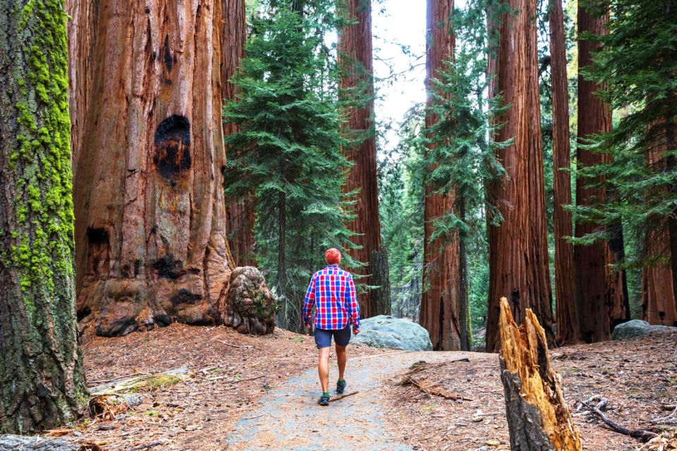 From San Francisco: Yosemite & Tahoe Sierras 4-Day Trip - From San Francisco to Gold Rush Country and the Sierra Start
