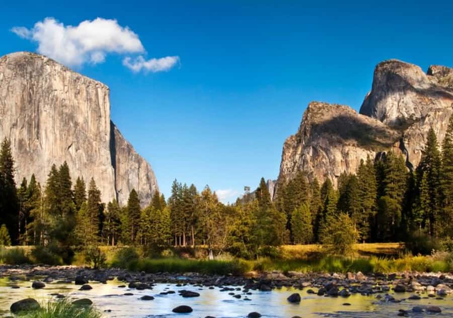 From San Jose:Enchanted Full Day Yosemite National Park Tour - Yosemite Falls and the waterfall moments that anchor the day